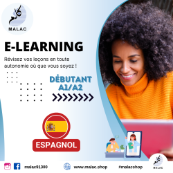 Formation E-Learning en...