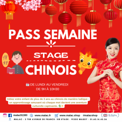 Pass CHINOIS 5 jours...