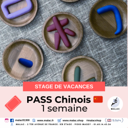 copy of Pass Journée Vacances